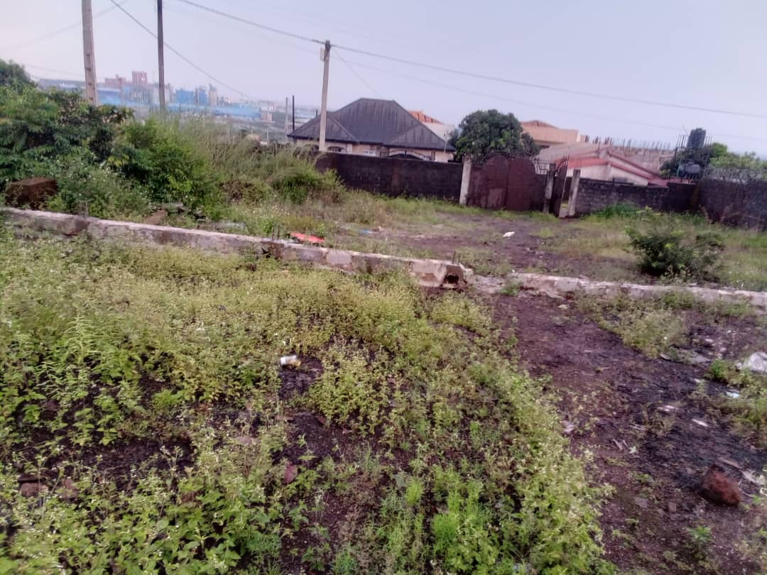 PARCELLES À KAGBÉLÉN